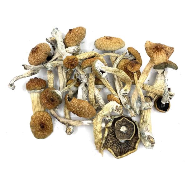 BLUE MEANIES STRAIN FOR SALE CALIFORNIA