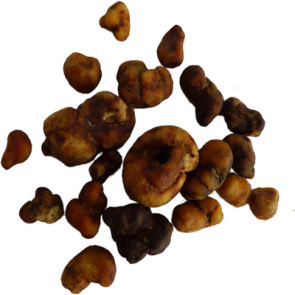 Buy Magic Truffles Atlantis Online USA