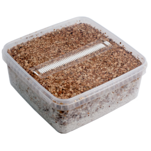 Buy Mondo Grow Kit PES Amazon XL Online in California