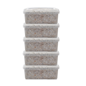 Buy Fresh Mushrooms Grow Kit Discount 5 Pack online California