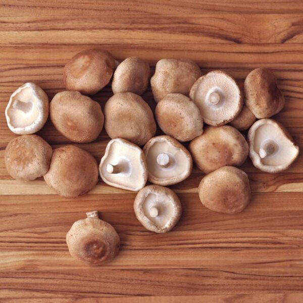 BUY ORGANIC SHIITAKE MUSHROOMS CALIFORNIA